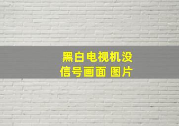 黑白电视机没信号画面 图片